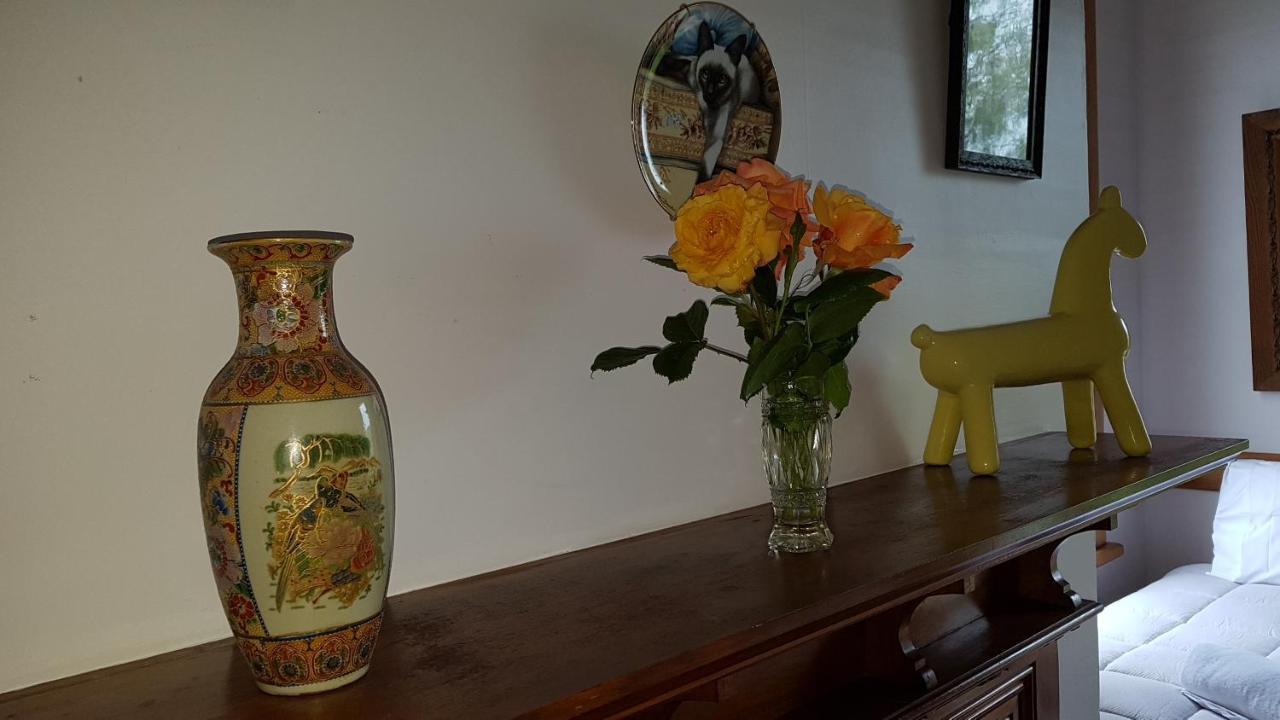 Bushy Park Historical Homestead Kai Iwi Esterno foto